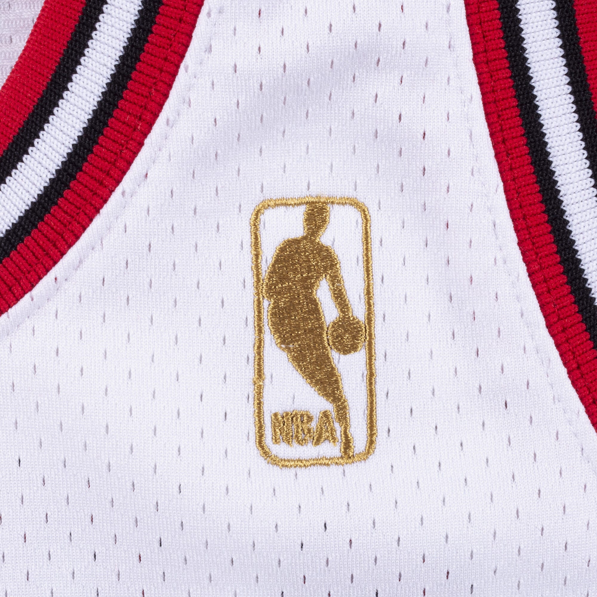 Chicago Bulls Mitchell & Ness Authentic Jersey Michael Jordan 1995-96