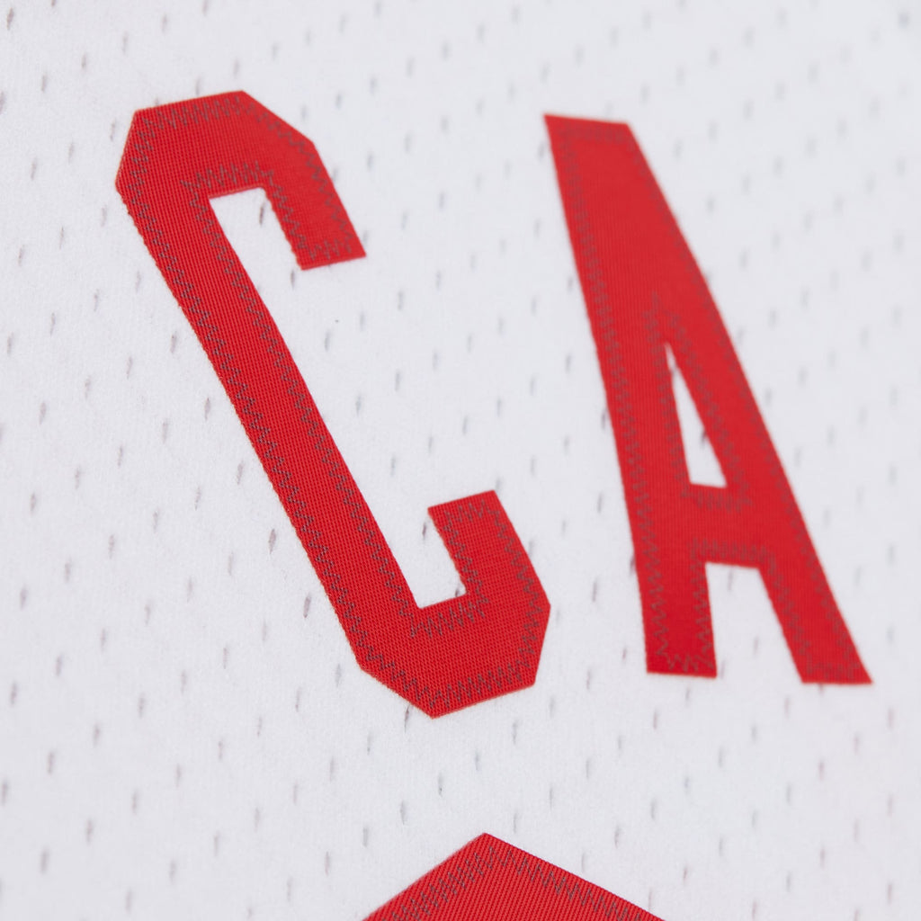 New Jersey Nets Mitchell & Ness Swingman Jersey - Mens - Vince Carter